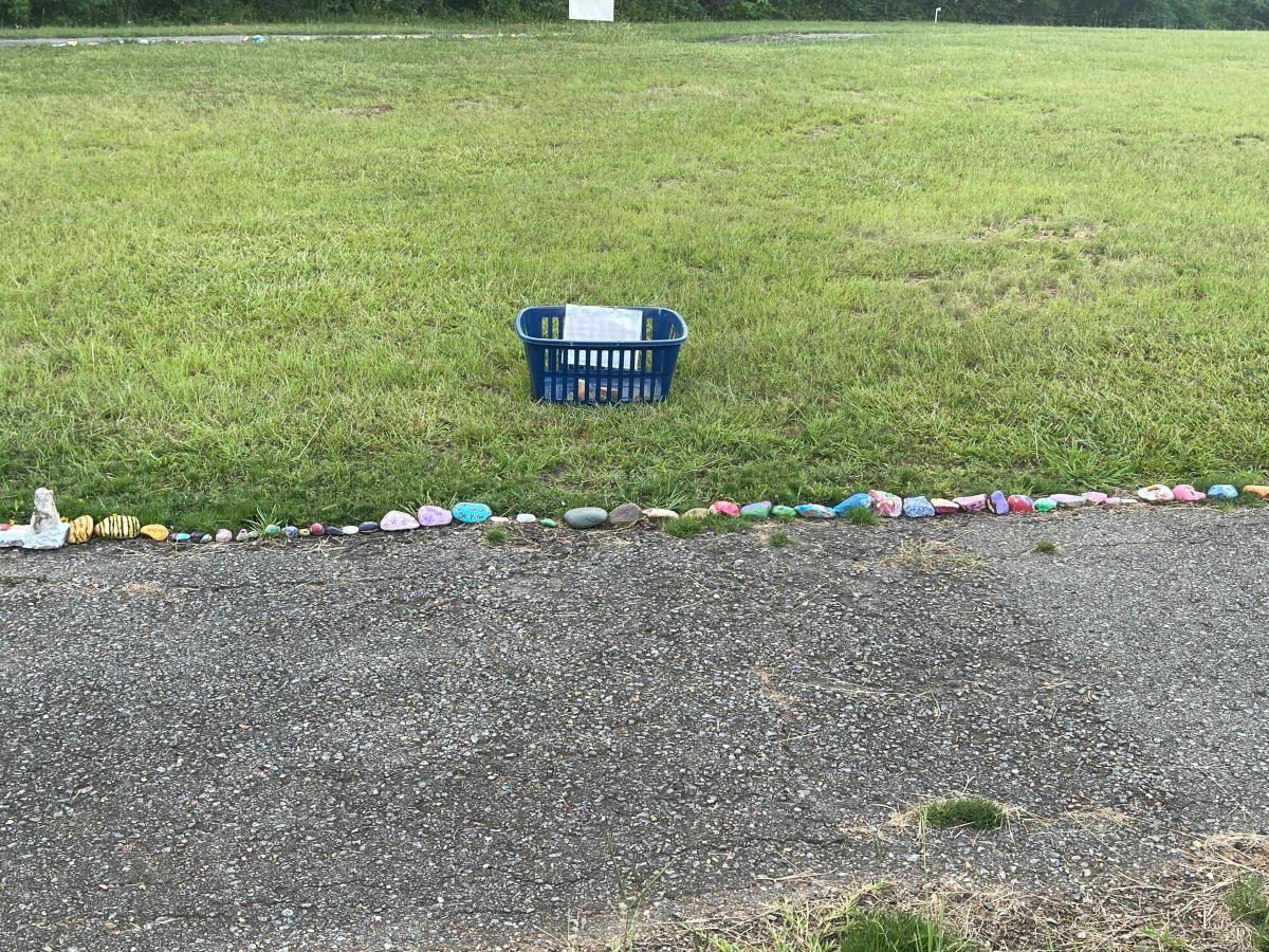 Rocksnake for kids